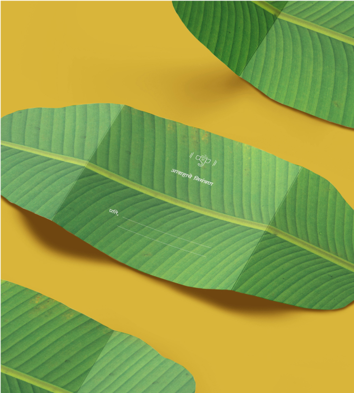 Cover Leaf M